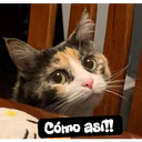 ஸ்டிக்கர்