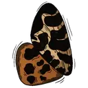 ස්ටිකර්