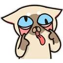 స్టికర్