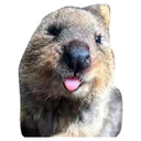 ஸ்டிக்கர்