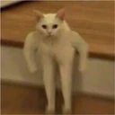 Կպչուն պիտակ