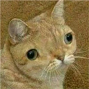 Կպչուն պիտակ