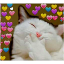 Կպչուն պիտակ