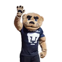 Կպչուն պիտակ