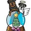 Կպչուն պիտակ