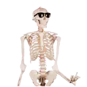 Կպչուն պիտակ