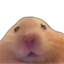 Կպչուն պիտակ