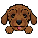 স্টিকার