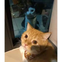 ස්ටිකර්