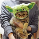 ස්ටිකර්