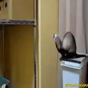 Կպչուն պիտակ