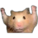 สติกเกอร์