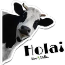 స్టికర్