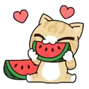 Կպչուն պիտակ