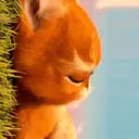 ස්ටිකර්