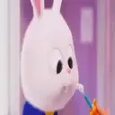 ස්ටිකර්