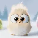 ස්ටිකර්