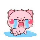 ස්ටිකර්