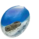 สติกเกอร์