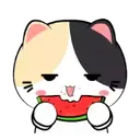 స్టికర్